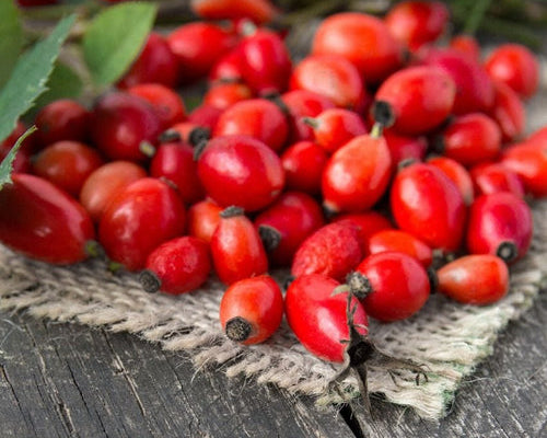 The Magic of Mongolian Rosehip: Nature’s Gift to Your Skin