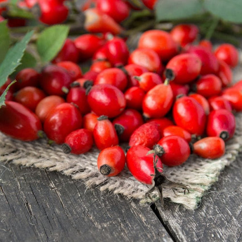 The Magic of Mongolian Rosehip: Nature’s Gift to Your Skin